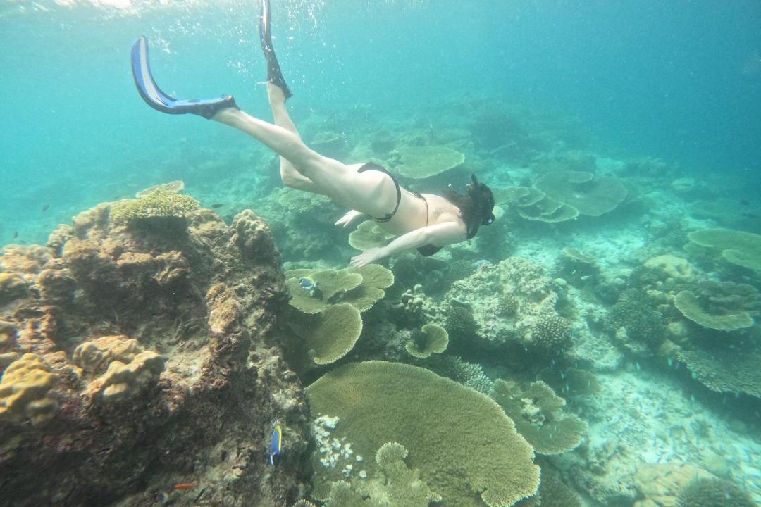 Photo of Others in Maafushi