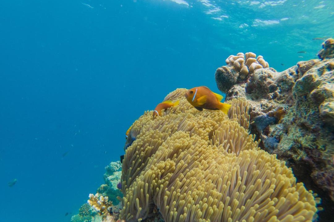 Photo of Others in Ukulhas