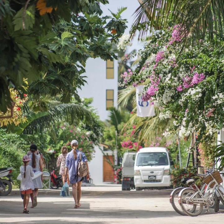Photo of Others in Thoddoo