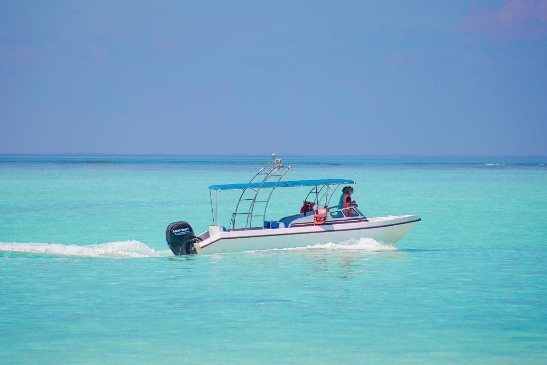 Photo of Others in Thoddoo