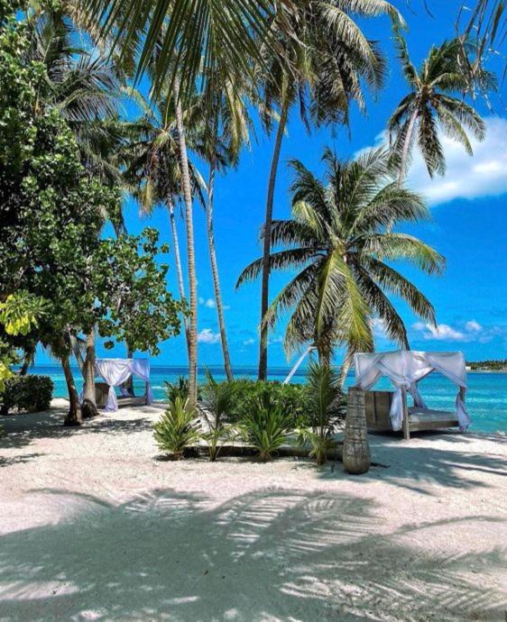Photo of Others in Thulusdhoo Island