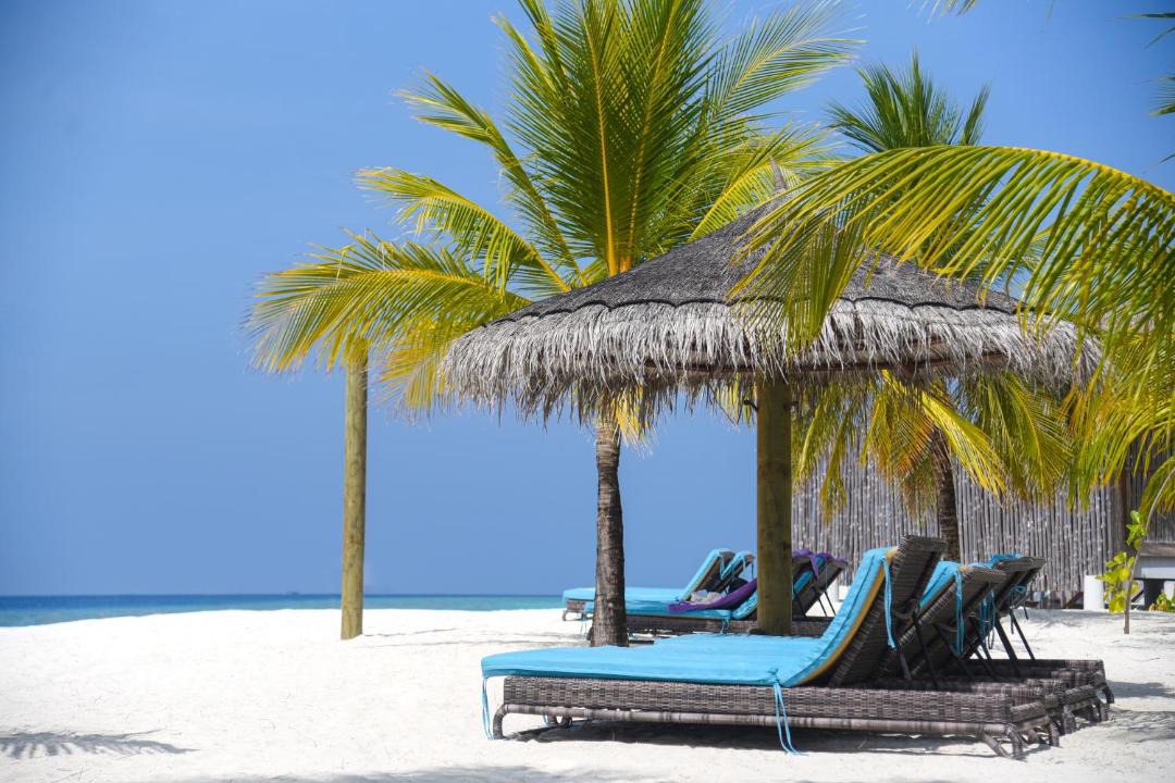 Photo of Others in Moofushi Island
