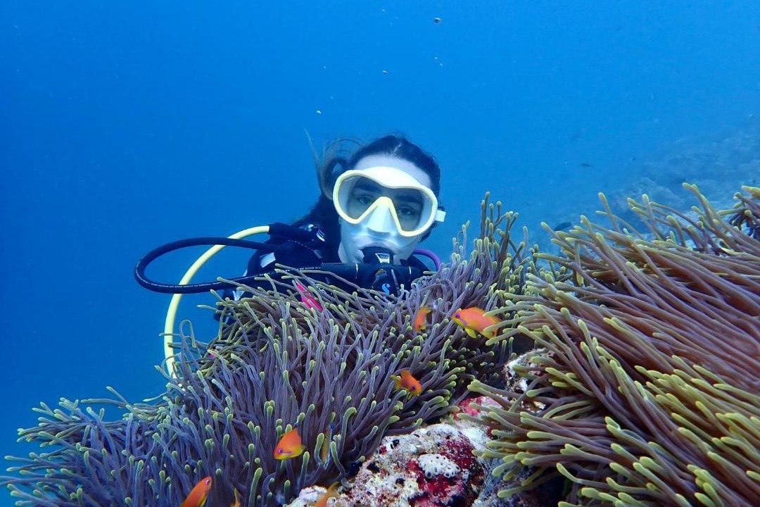 Photo of Others in Hanimaadhoo