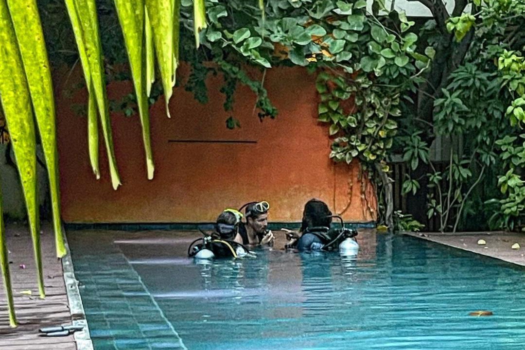 Photo of Others in Hanimaadhoo