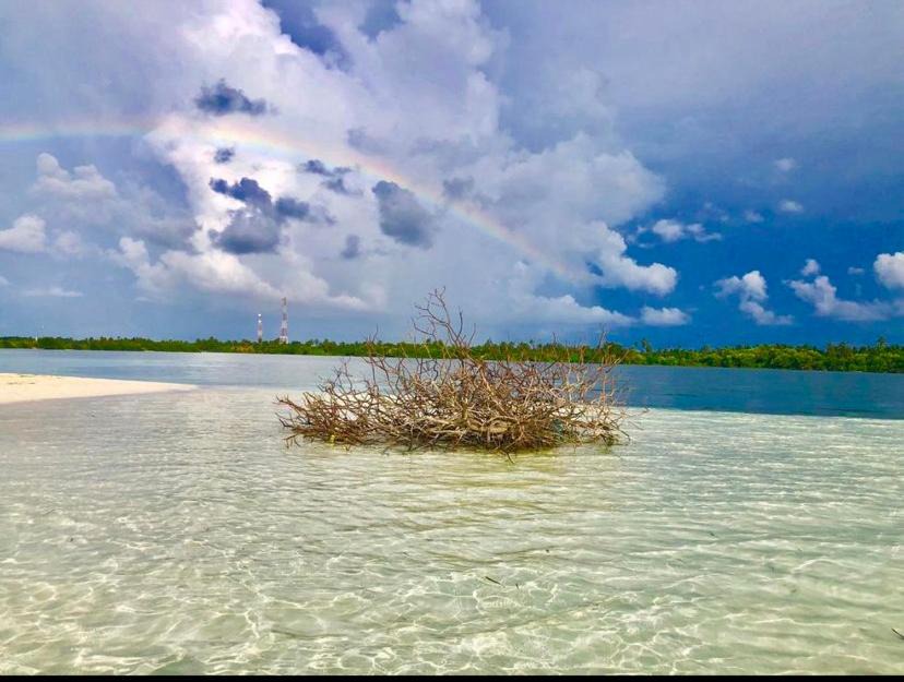 Photo of Others in Kaashidhoo