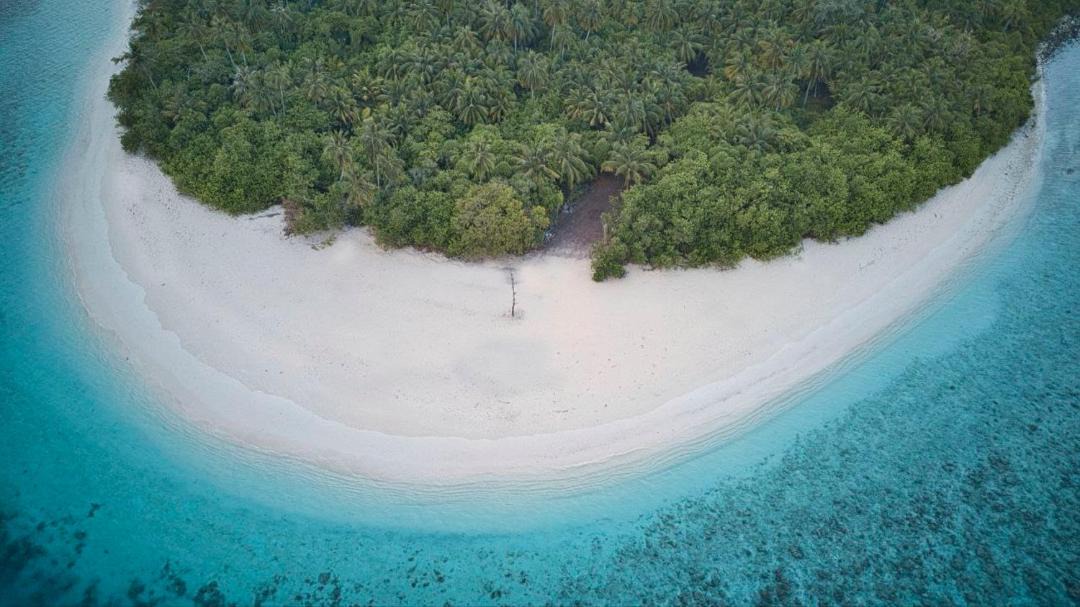 Photo of Others in Feridhoo