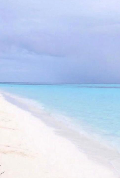 Photo of Others in Thoddoo