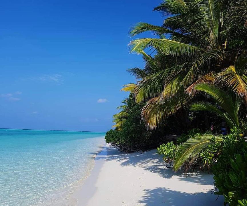 Photo of Others in Thoddoo
