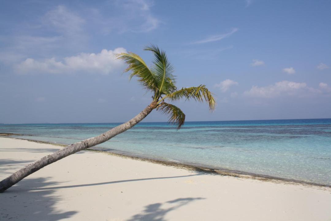 Photo of Others in Dhigurah