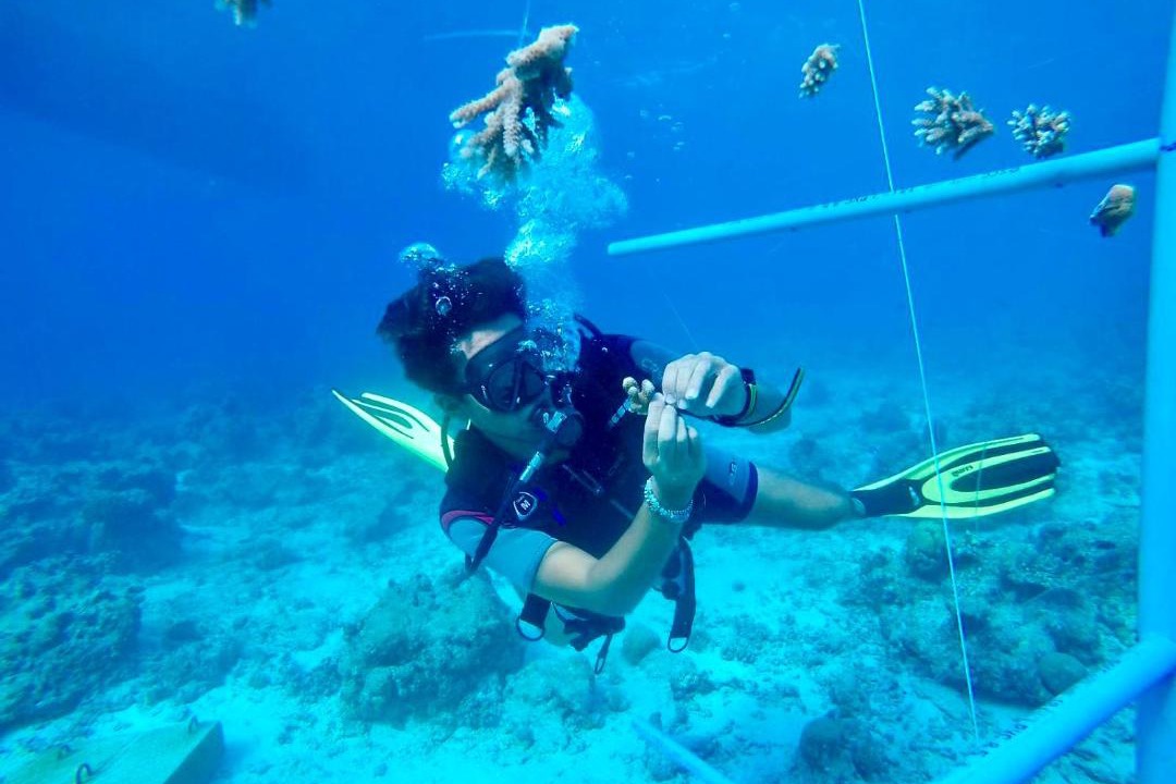 Photo of Others in Hanimaadhoo