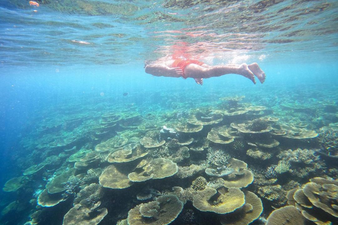 Photo of Outdoor in Ukulhas
