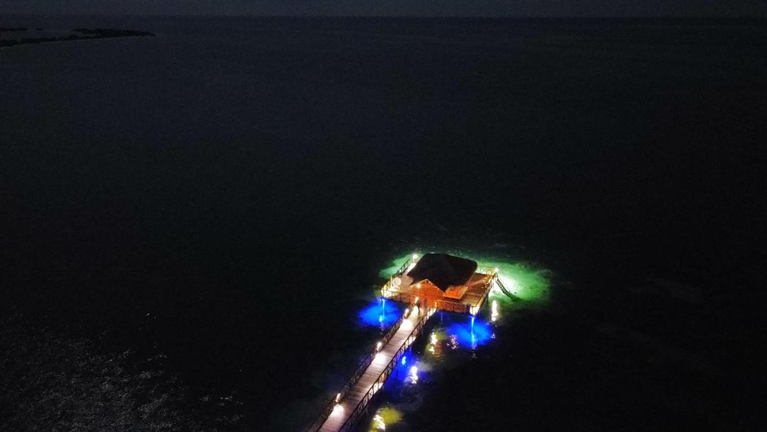 Photo of Others in Kaashidhoo