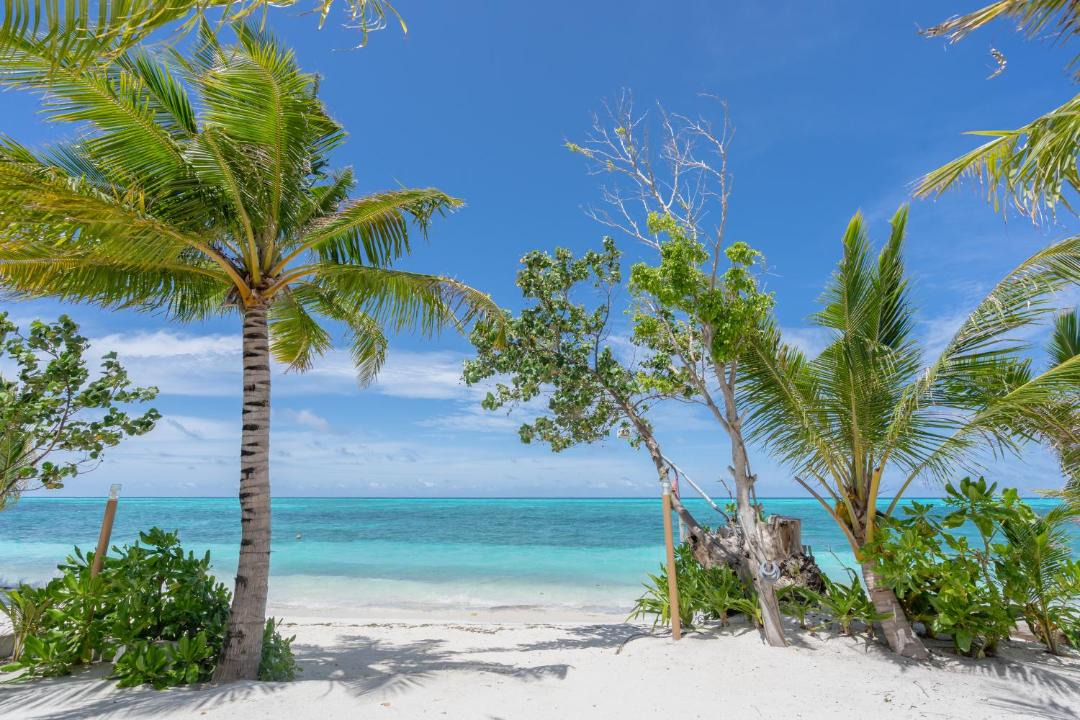 Photo of Outdoor in Fehendhoo