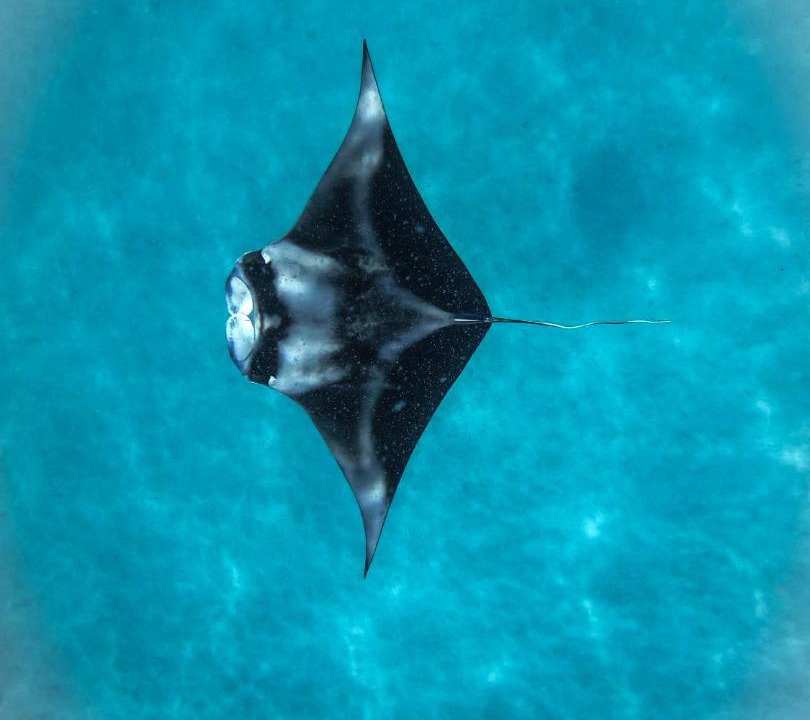 Photo of Others in Fulidhoo