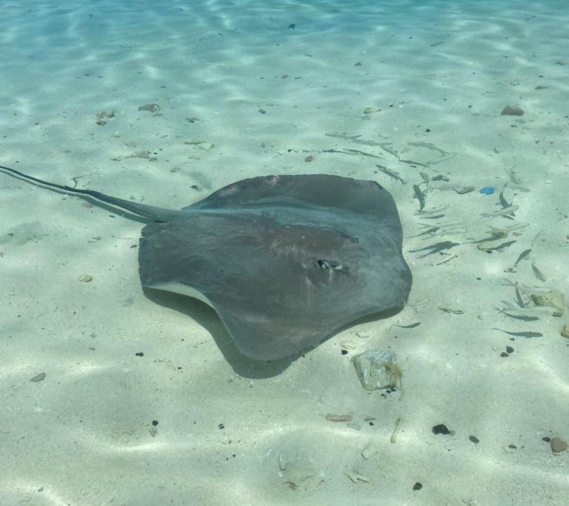 Photo of Others in Fulidhoo