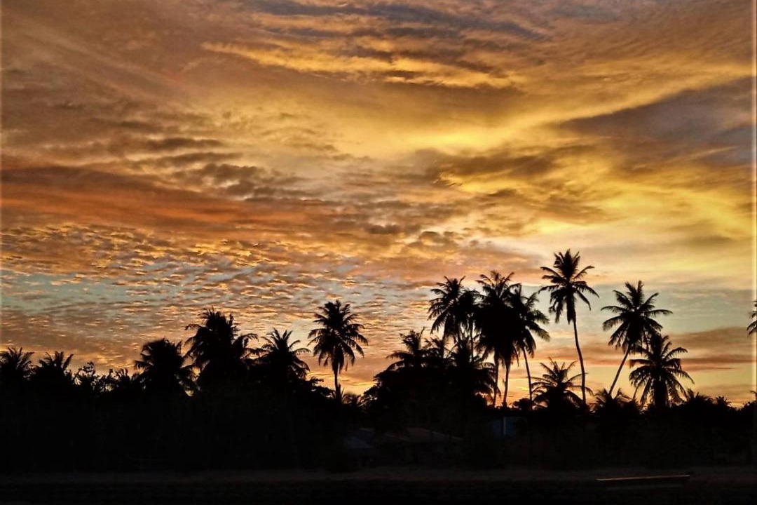 Photo of Others in Fodhdhoo