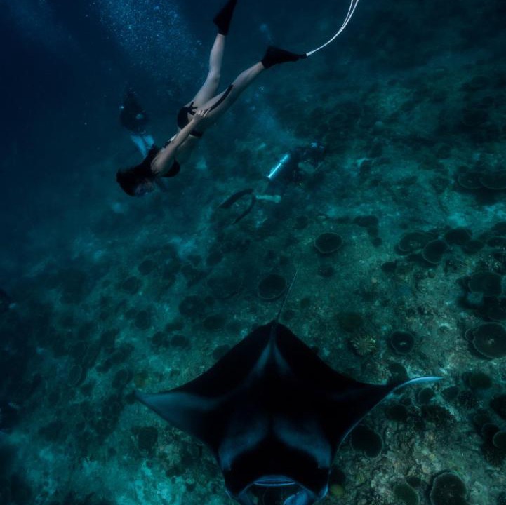Photo of Others in Dhigurah