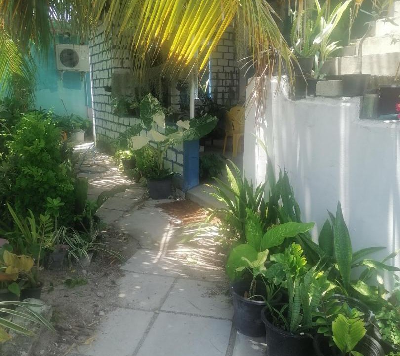 Photo of Others in Hithadhoo
