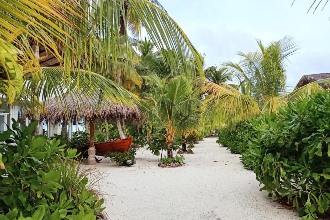 Photo of Others in Magoodhoo
