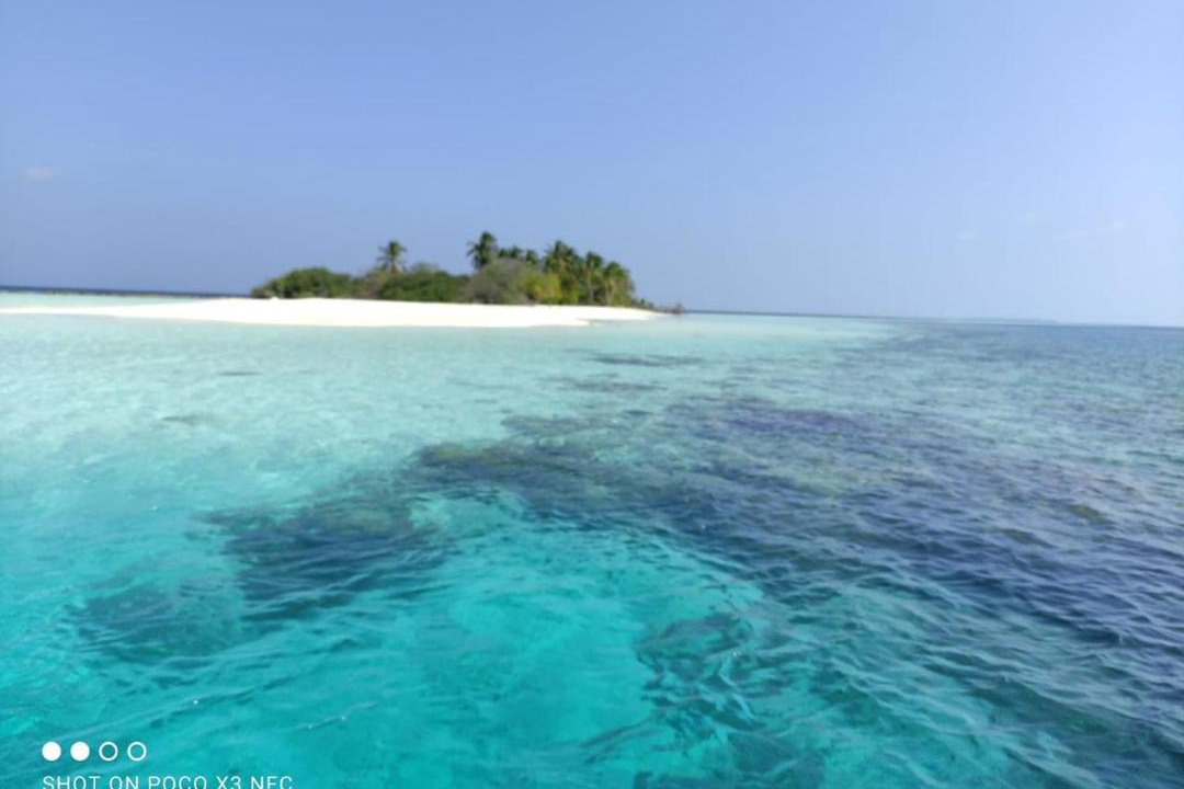 Photo of Others in Magoodhoo