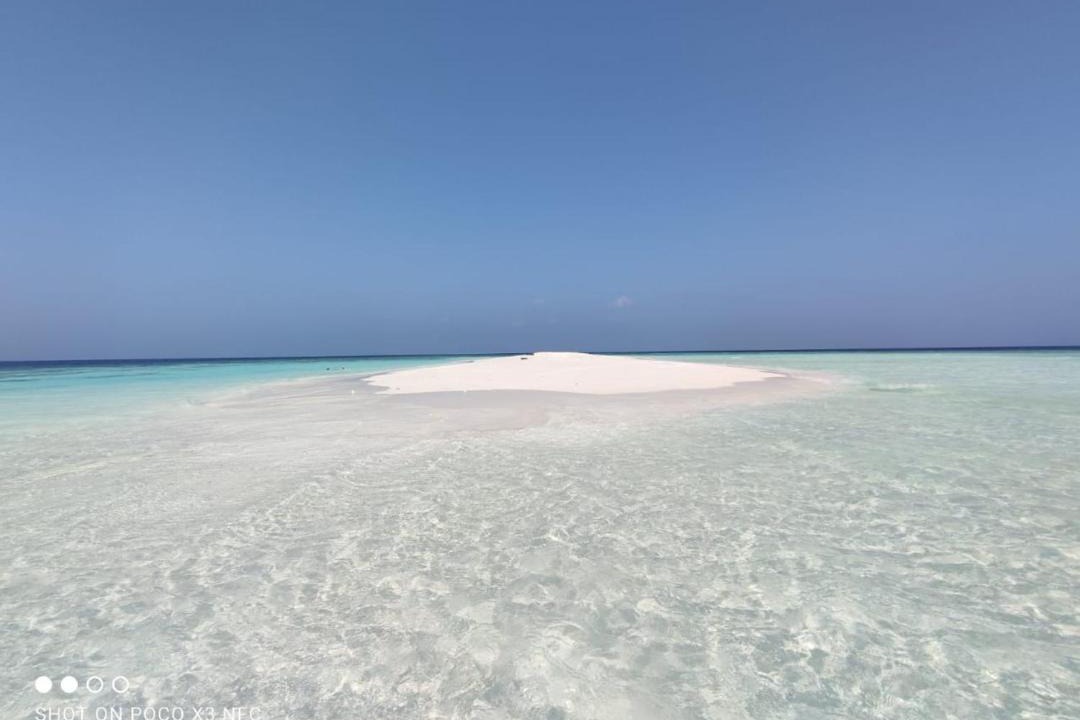 Photo of Others in Magoodhoo