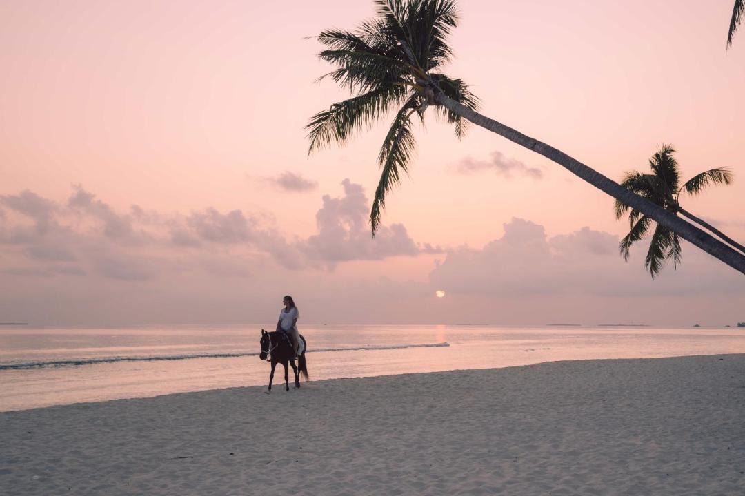 Photo of Others in Dhigurah