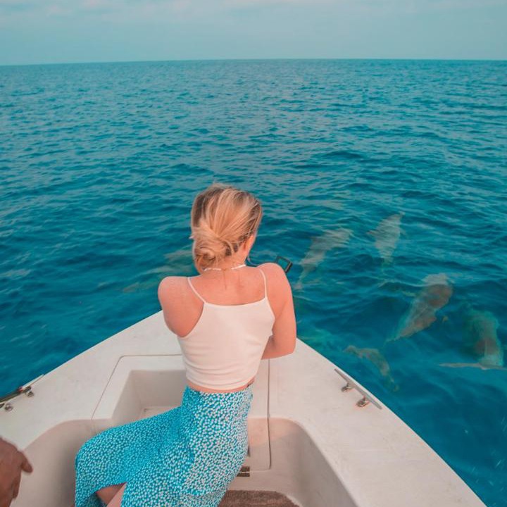 Photo of Others in Hondaafushi