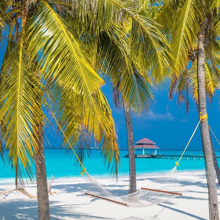 Photo of Others in Hondaafushi