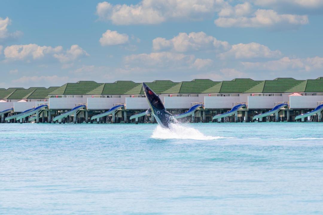 Photo of Others in Dhigurah