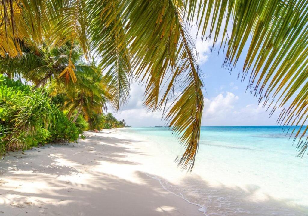 Photo of Others in Dhigurah