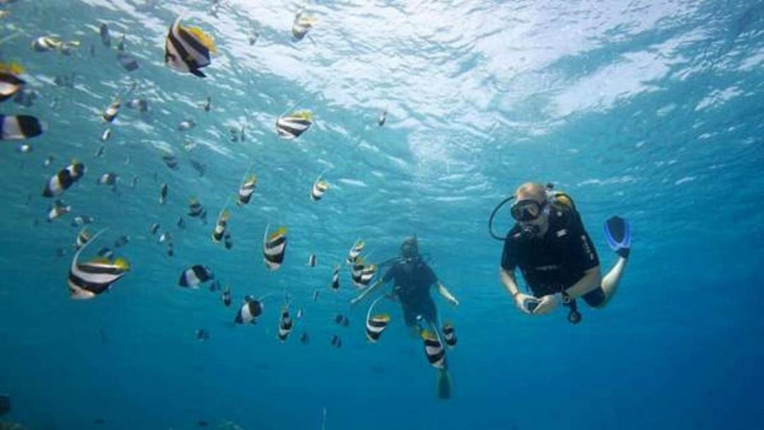 Photo of Human In Picture in Thulusdhoo Island