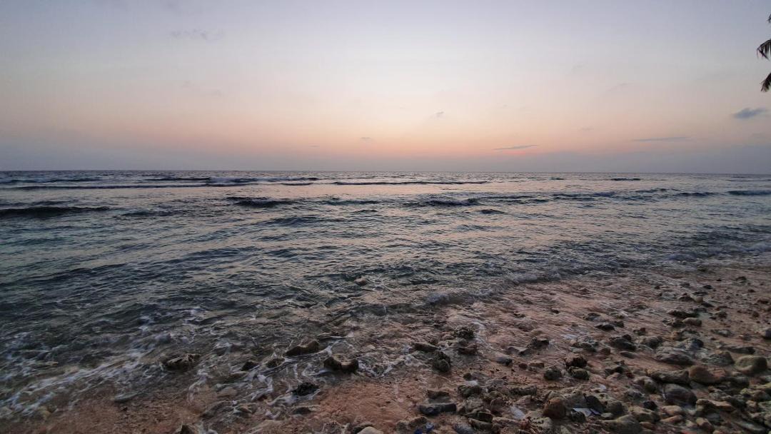 Photo of Others in Thoddoo