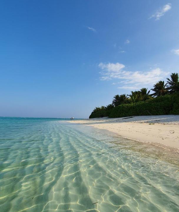Photo of Others in Thoddoo