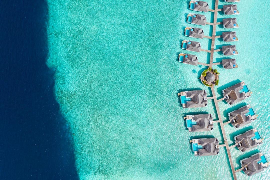 Photo of Others in Kanifushi