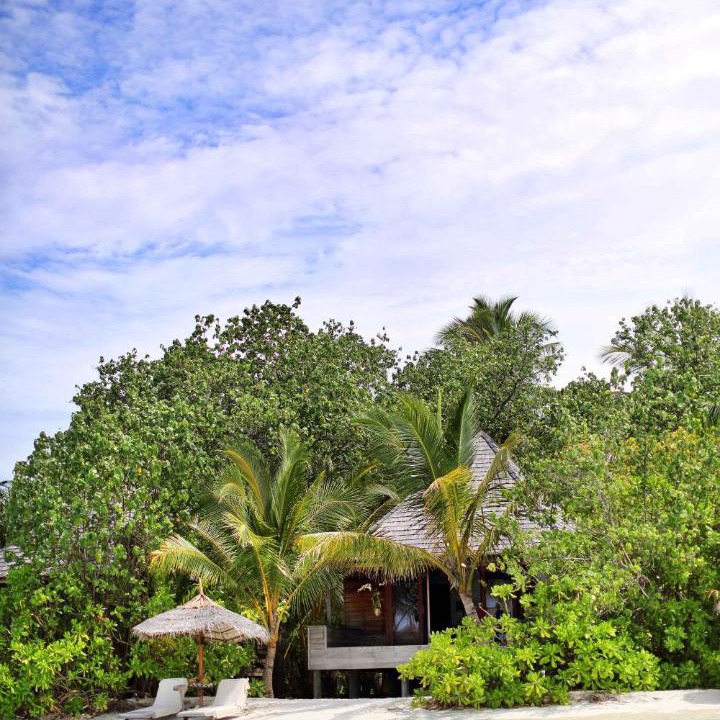 Photo of Others in Gangehi Island