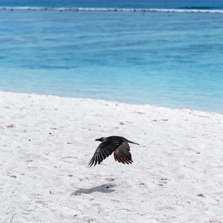 Photo of Others in Hulhumale