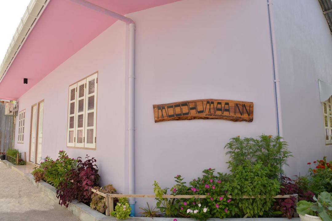 Photo of Others in Guraidhoo