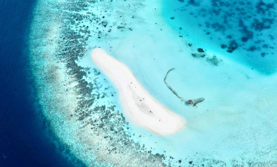 Photo of Others in Dhangethi