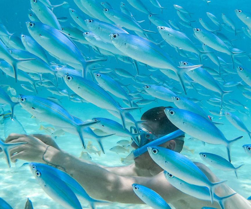 Photo of Others in Rasdhoo