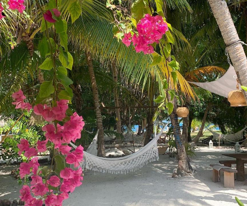 Photo of Others in Thulusdhoo Island