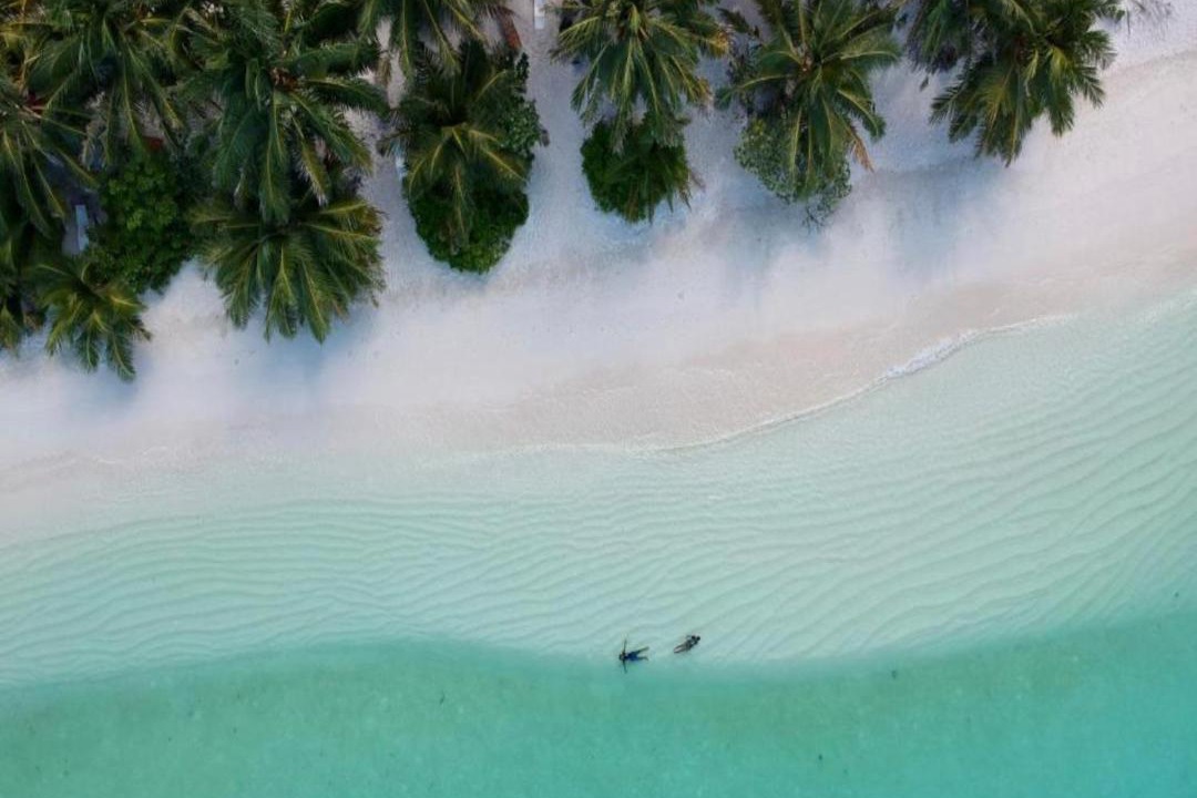Photo of Others in Thoddoo