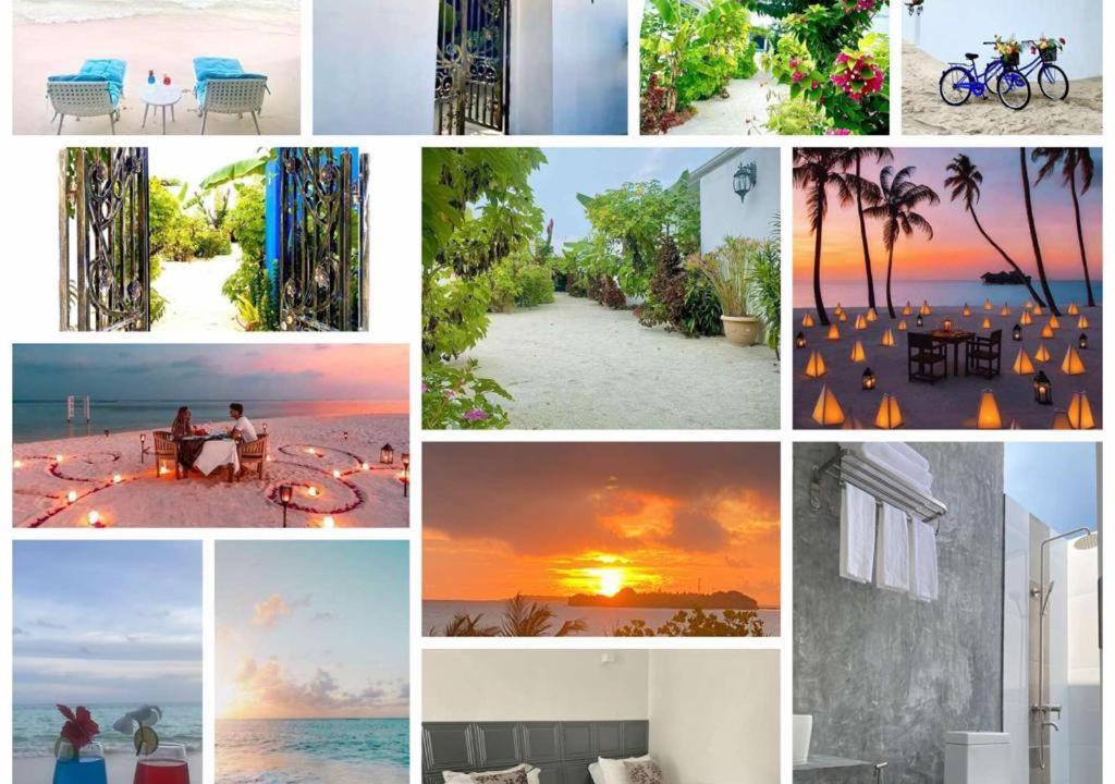 Photo of Others in Goidhoo