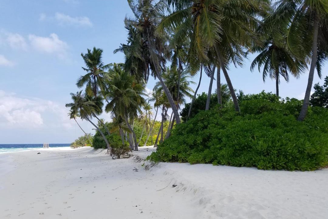 Photo of Others in Fodhdhoo