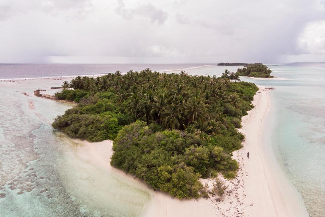 Photo of Others in Thimarafushi