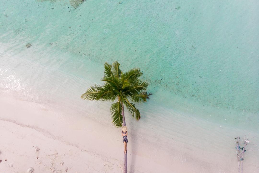 Photo of Others in Thimarafushi