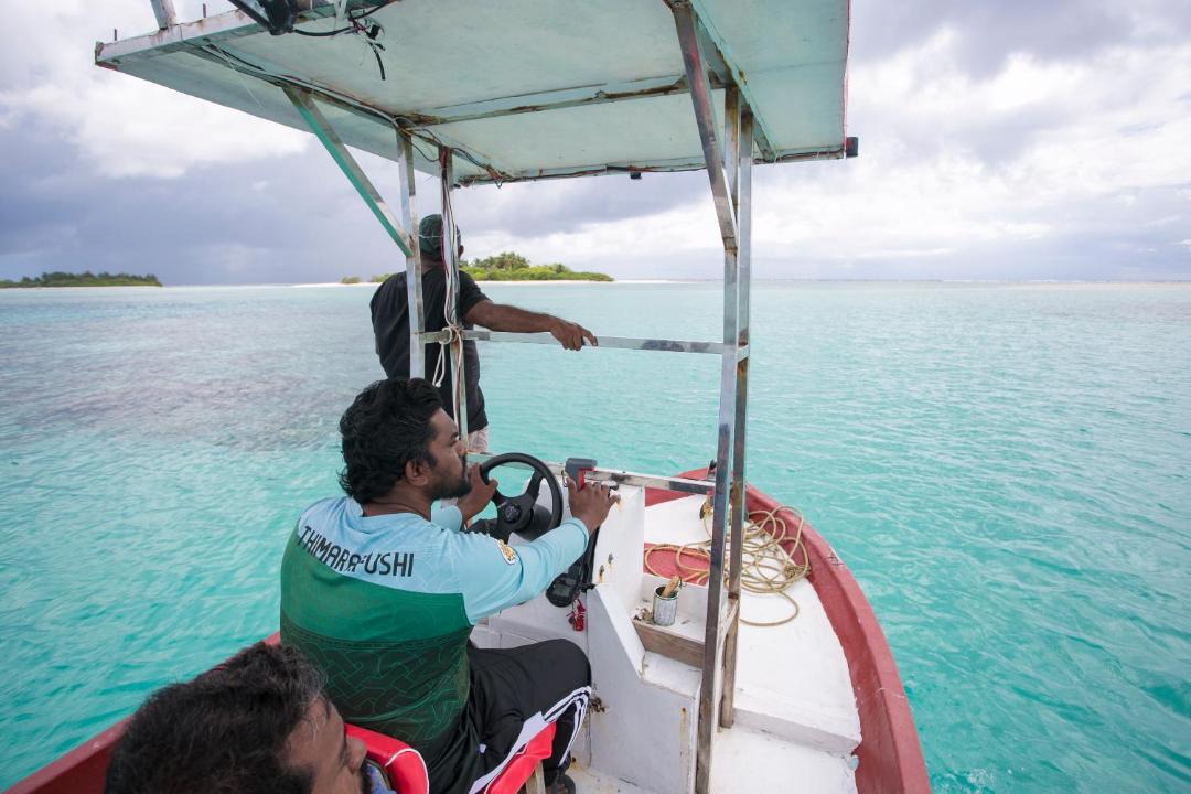 Photo of Others in Thimarafushi