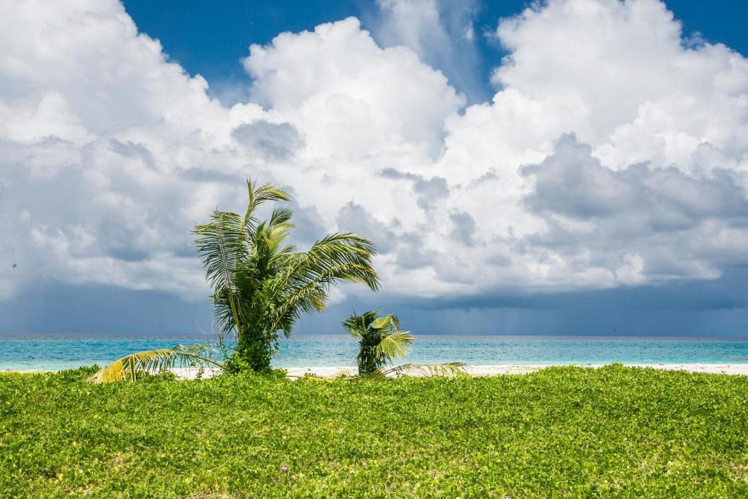 Photo of Others in Thimarafushi