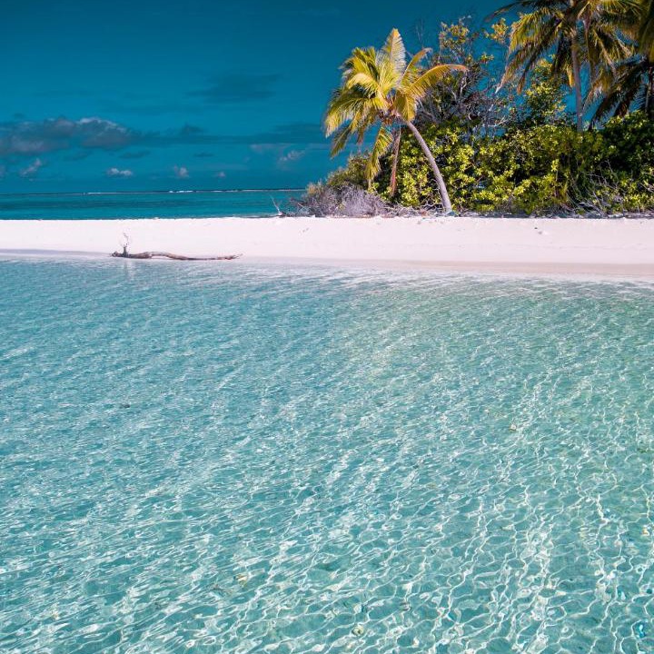 Photo of Others in Thimarafushi