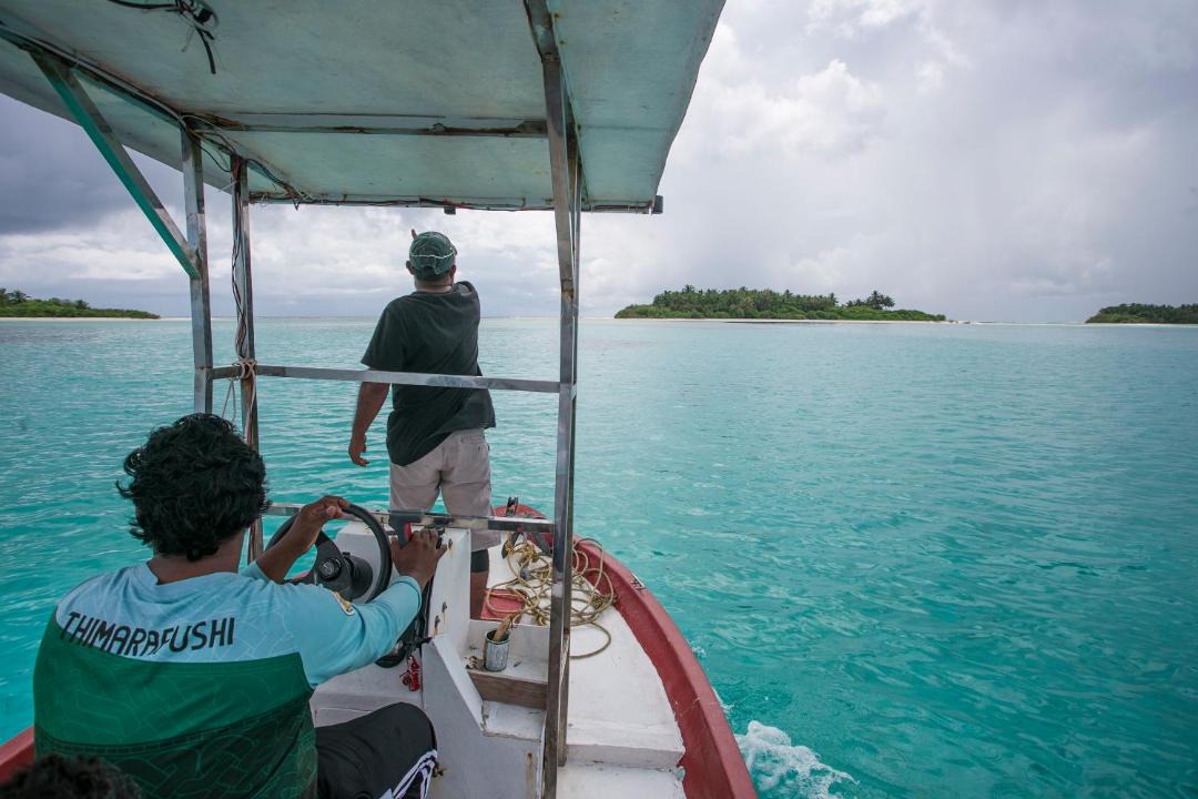Photo of Others in Thimarafushi
