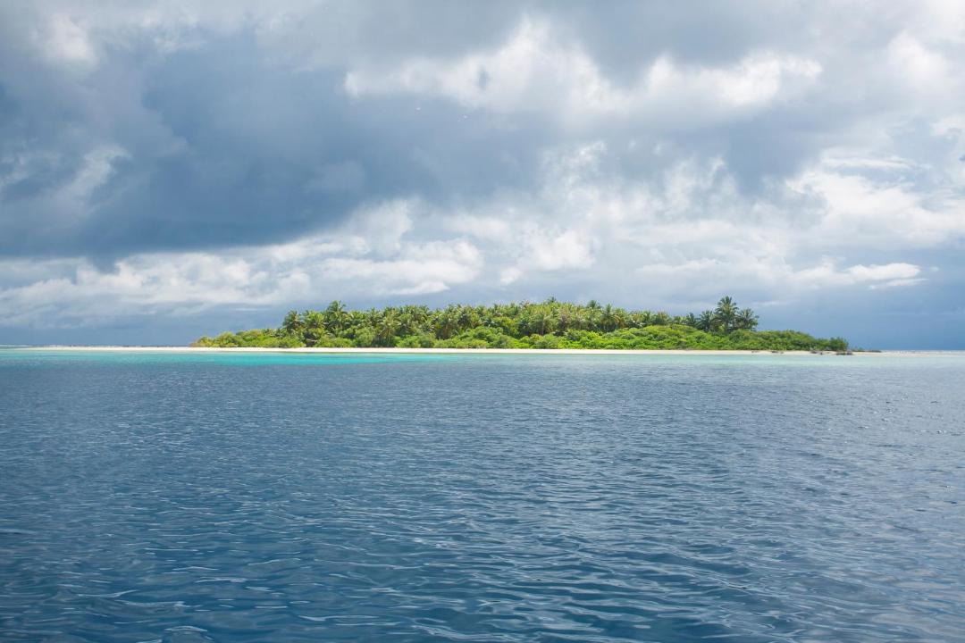 Photo of Others in Thimarafushi